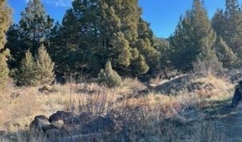 1724 Warner Mountain Rd PO Box, Alturas, CA 96101