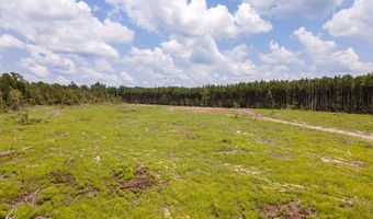 R53358 Tract 1 HWY 94, Apple Springs, TX 75926