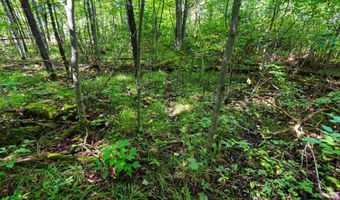 Double Bend Road, Argonne, WI 54511