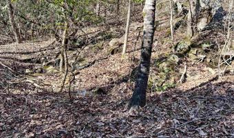 Lot 1 Bear Creek Road SE, Fort Payne, AL 35967