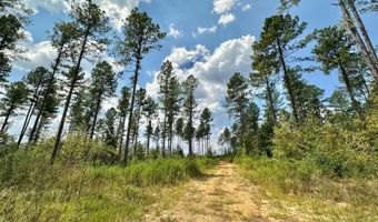 1 Prentiss Crump Rd, Terry, MS 39170