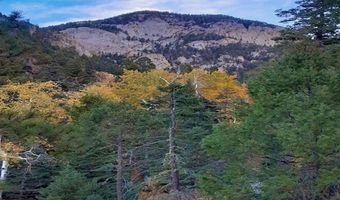 End of El Salto Road, Arroyo Seco, NM 87514