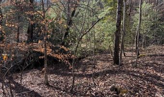 1834 Bristol Ave, Andrews, NC 28901