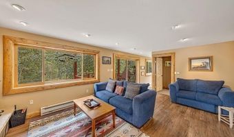 209 Deer Path Ln, Almont, CO 81230