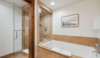 415 E Dean St. Unit 49 Week 33, Aspen, CO 81611