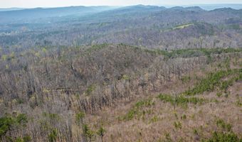 163 Acres Duck Springs Rd, Attalla, AL 35954