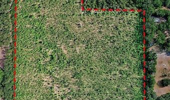 0 SW 120 Ave, Archer, FL 32618