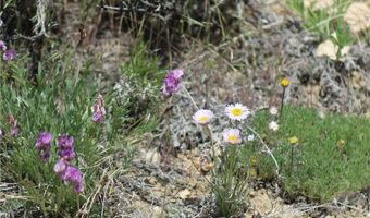 COS 947 Tract 11, Belfry, MT 59008