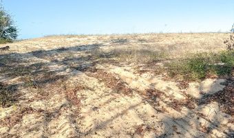 208 Sand Bar Rd, Apalachicola, FL 32320