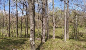 27 Woodtrail Way, Arden, NC 28704