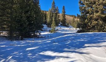 3553 RIVER Dr, Alma, CO 80420