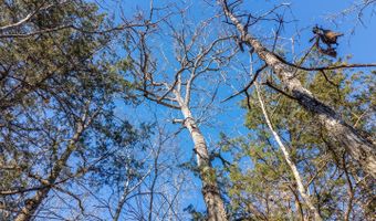Tuska Drive, Ash Flat, AR 72513