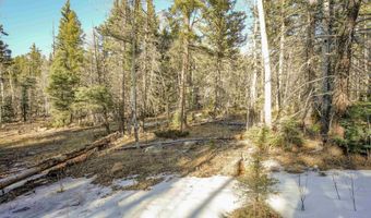 1004 And 1005 El Camino Real, Angel Fire, NM 87710