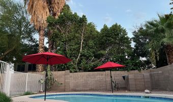 1695 W MACAW Dr, Chandler, AZ 85286