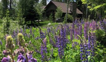500 Wild Swan Trl, Bigfork, MT 59911