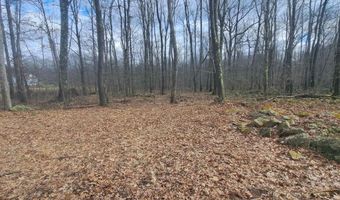 Glade Run Road, Albright, WV 26519