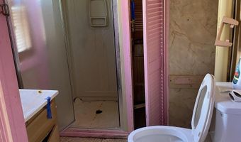 330 Nelson, Adrian, MI 49221