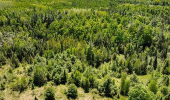 75 59 AC Brosseau Rd, Afton, MI 49705