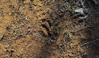 0 W Captina Highway Rd, Alledonia, OH 43902