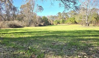 1228 River Rd, Ariton, AL 36311