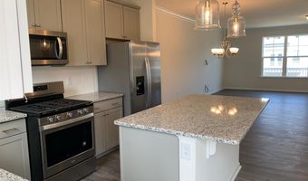 1044 Diamond Dove Ln, Apex, NC 27523
