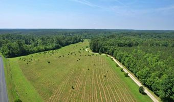 1967 Cub Creek Rd, Appomattox, VA 24522
