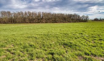 Tract 2 Farm Road 1200, Aurora, MO 65605