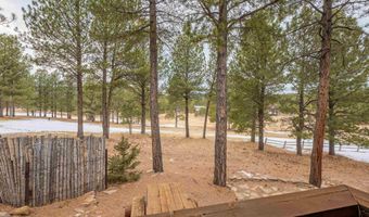 33 Clay Ter, Angel Fire, NM 87710