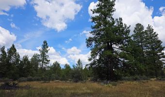 Swan Drive 16 & 17, Bonanza, OR 97623