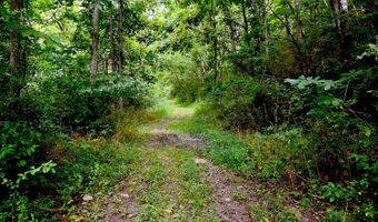 State Route 550, Amesville, OH 45711