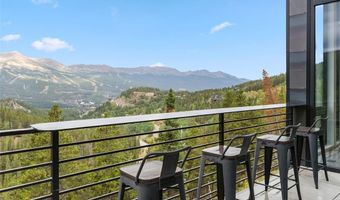 2520 BOREAS PASS Rd, Breckenridge, CO 80424