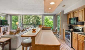 728 S Galena St 202-B, Aspen, CO 81611