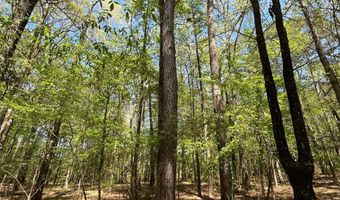0 Evans St, Bernice, LA 71222
