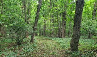 65 Acres 107th Ave, Allegan, MI 49010