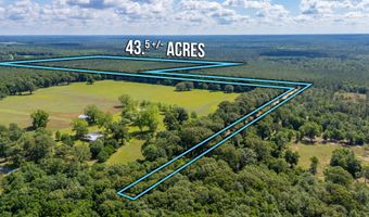 43 5 +/- A Old River Rd, Baker, FL 32531