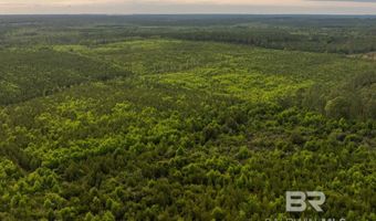 Flowers Road, Bay Minette, AL 36507
