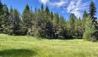 Sky Horse Drive lot 42, Cascade, ID 83611