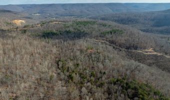 700 Acres Puncheon Creek Ln, Allred, TN 38542