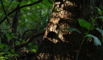 501 Caldwell Rd, Blacksburg, SC 29702