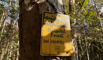 0 Progress Road Rd, Beaumont, MS 39423