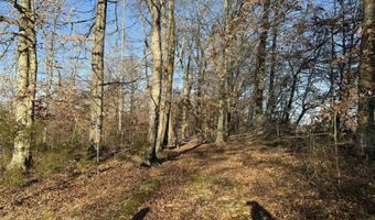 445 Bill Perdue Rd, Albany, KY 42602