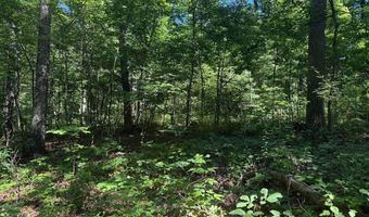 750 HICKORY CORNER Rd, Augusta, WV 26704