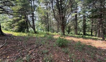 Hall Hollow Road, Austinville, VA 24312