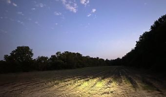 Bushville Highway lot N2 Of Lot 2, Arnaudville, LA 70512