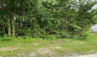 0 Willow Grove Hwy, Allons, TN 38541