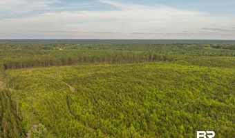 Flowers Road, Bay Minette, AL 36507