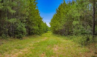 Harry Priddy Road, Americus, GA 31719