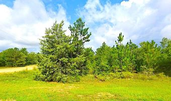 Fairview Road, Alford, FL 32420