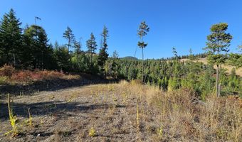 25 XX BURGESS Rd, Addy, WA 99101