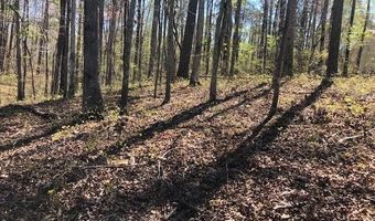 W POINT DRIVE lot 2 & 3, Arley, AL 35541